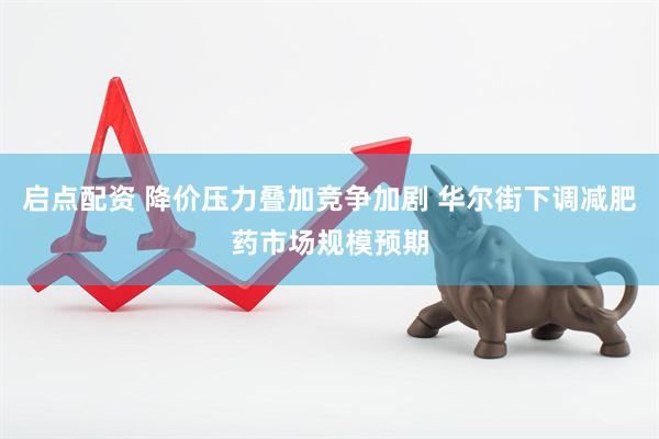 启点配资 降价压力叠加竞争加剧 华尔街下调减肥药市场规模预期