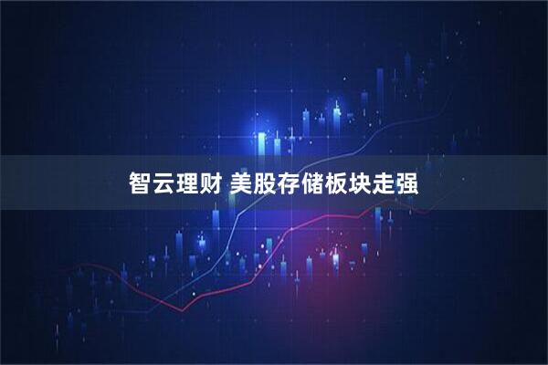 智云理财 美股存储板块走强