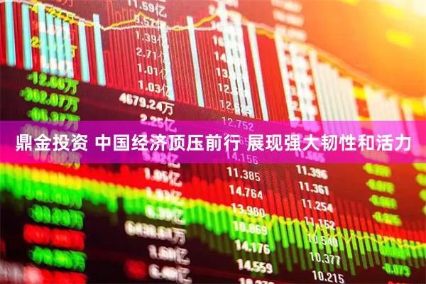 鼎金投资 中国经济顶压前行 展现强大韧性和活力
