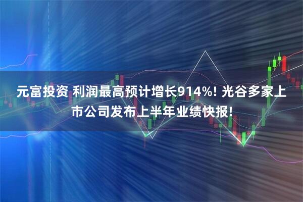 元富投资 利润最高预计增长914%! 光谷多家上市公司发布上半年业绩快报!