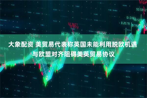 大象配资 美贸易代表称英国未能利用脱欧机遇 与欧盟对齐阻碍美英贸易协议